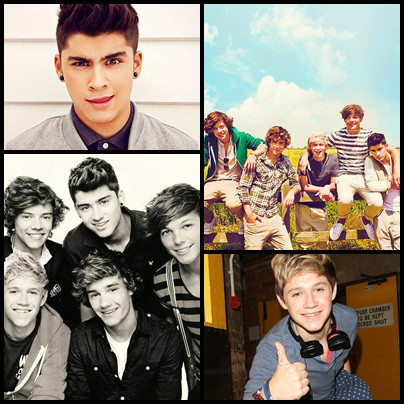 onedirection1312