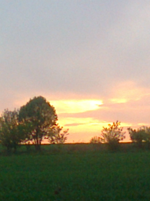 Plenerek