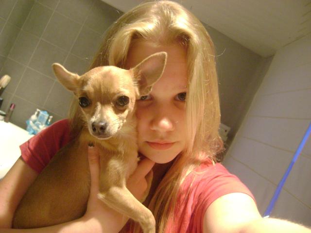 Wpis xseixbellox