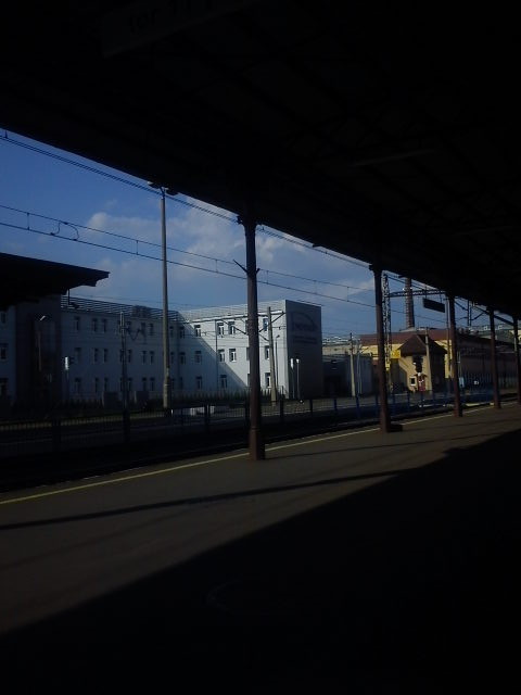W podry.