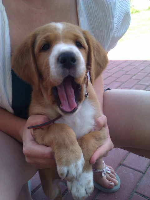 Lola;*