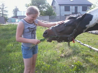 Z Tajg . :**