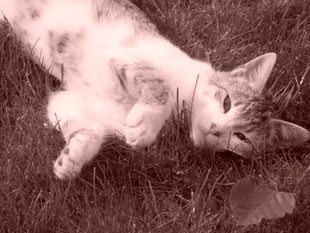 Daisy...