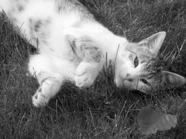 Daisy...