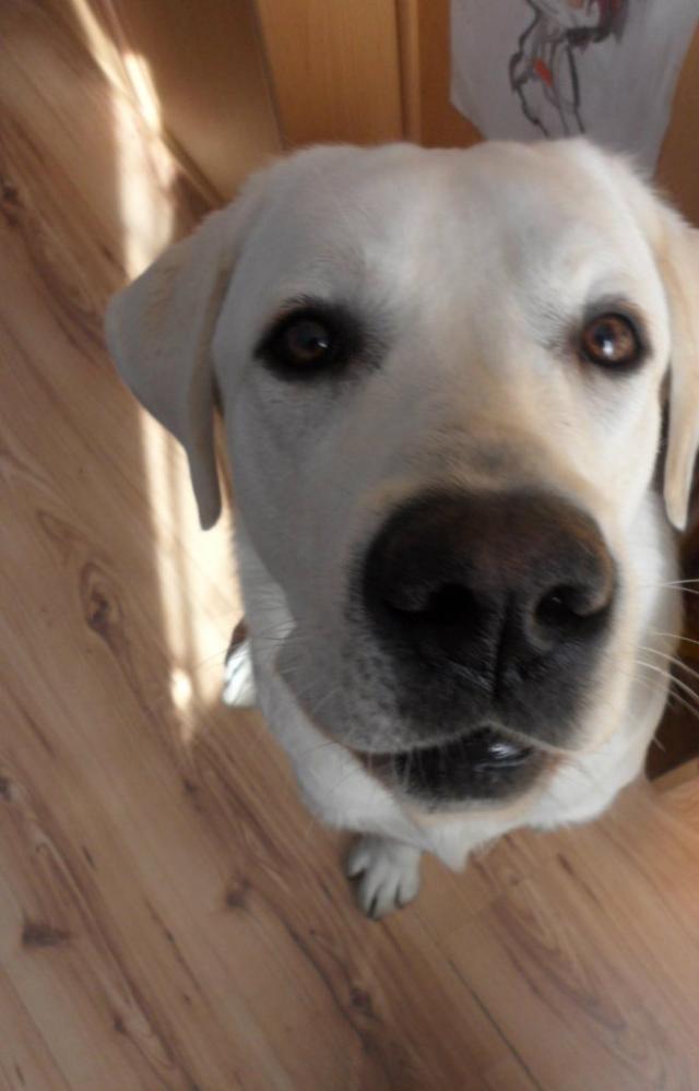 ;D