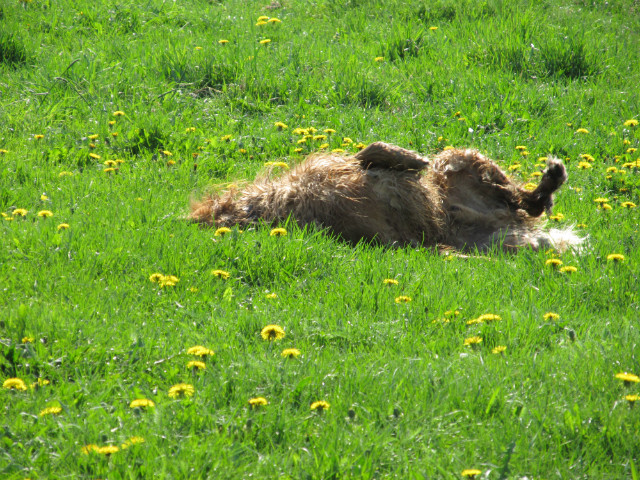 summer holiday! ; ))