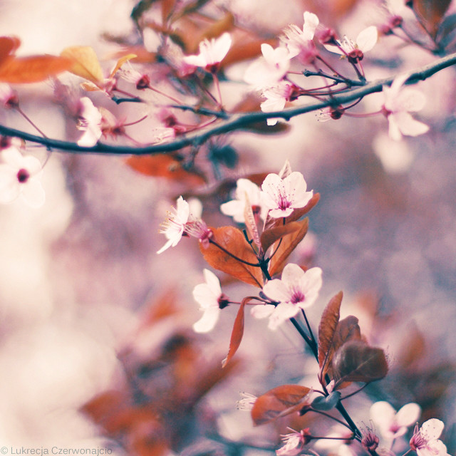 Spring is hope.