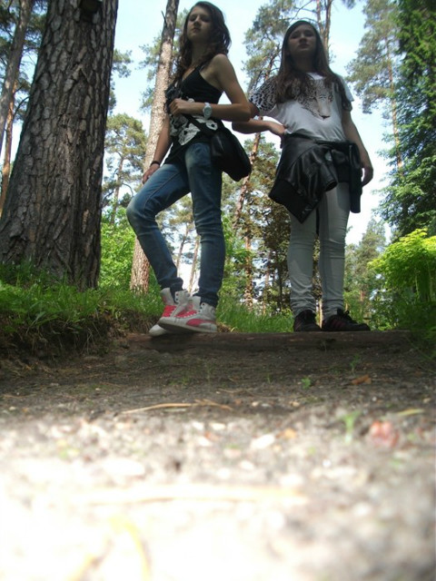 Takie tam w lesie ; dd 