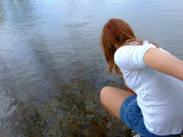 Wpis seasidee
