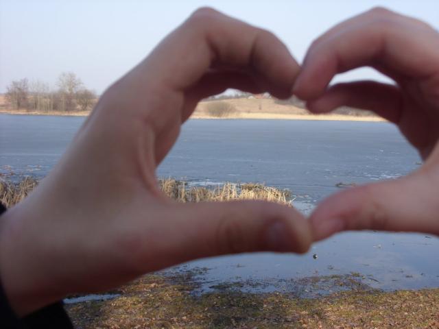 :*