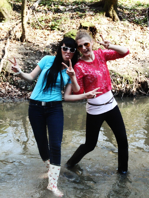 Wpis michlee