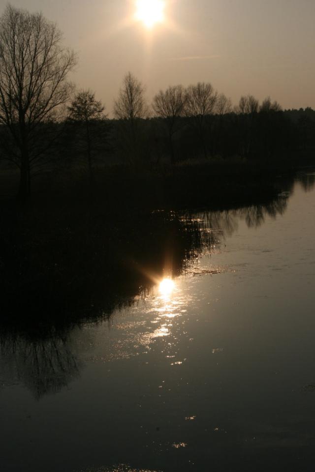 Wpis angelique1316