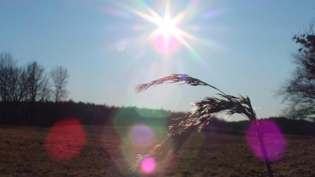 lato.