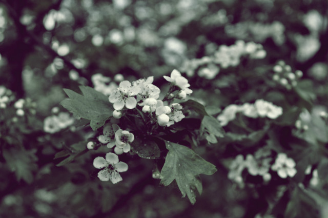Wpis klaudiaphotography