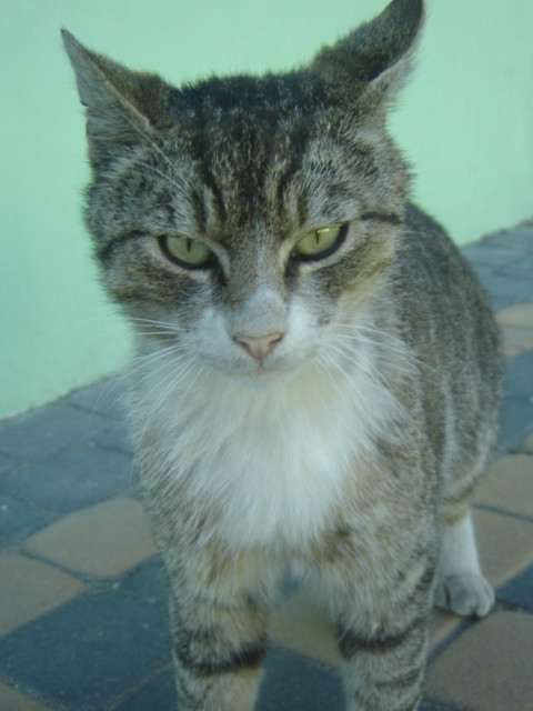 ycie pragnie , kiedy wolnoci.