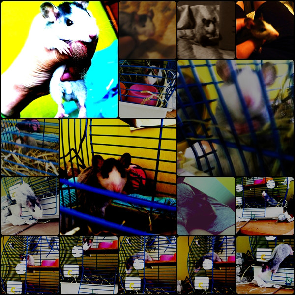 Mix . ! 