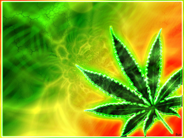 I love rasta...