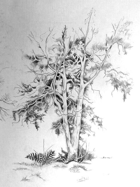 Niedziela