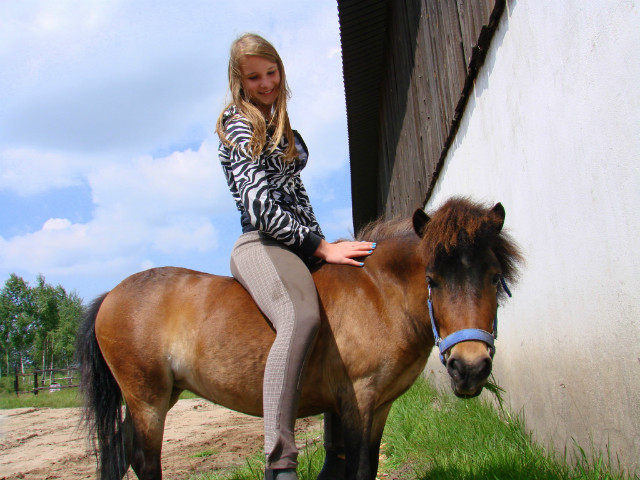 Dejzuuula 