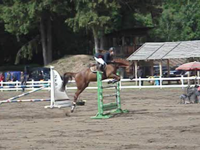 Wpis czamarka96