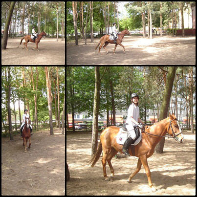 Lir i Ja