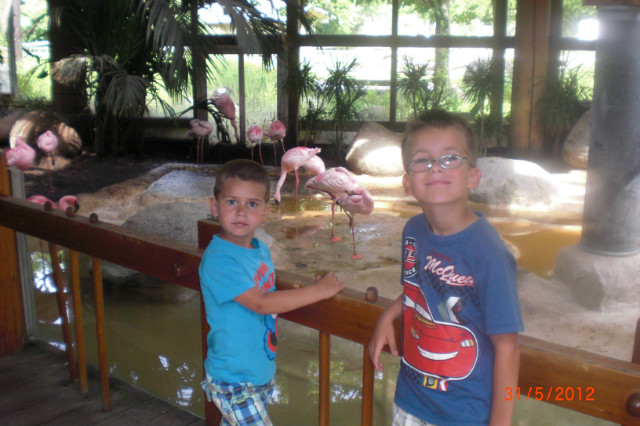 W ZOO