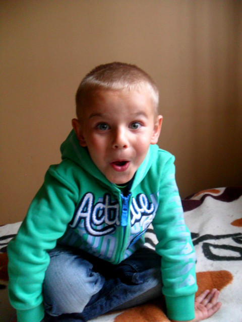 Krzy 