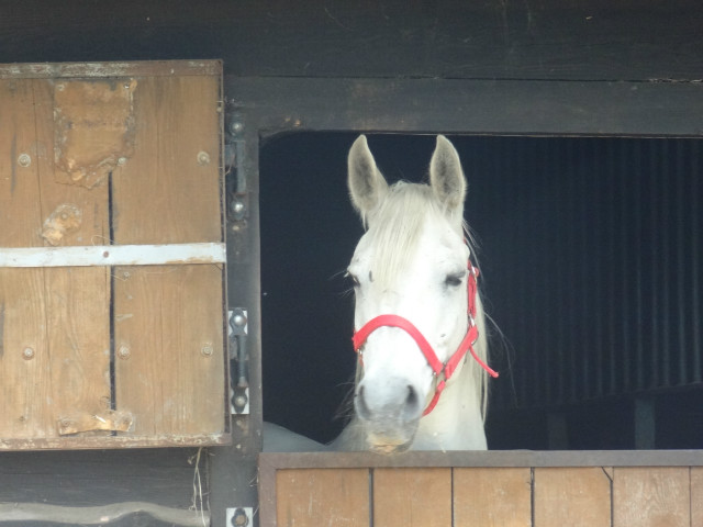 Juanita 6.06.2012