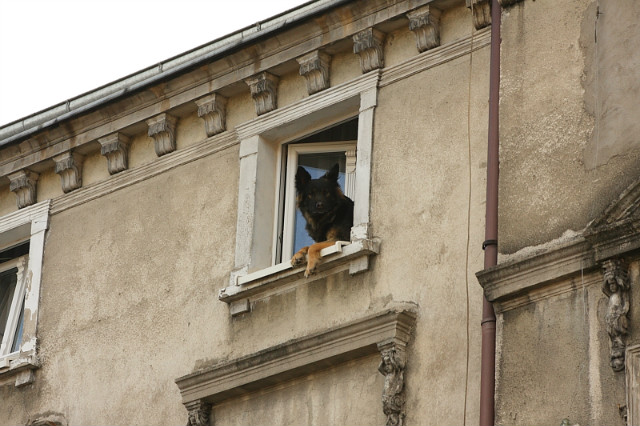 Czekajc na Pana