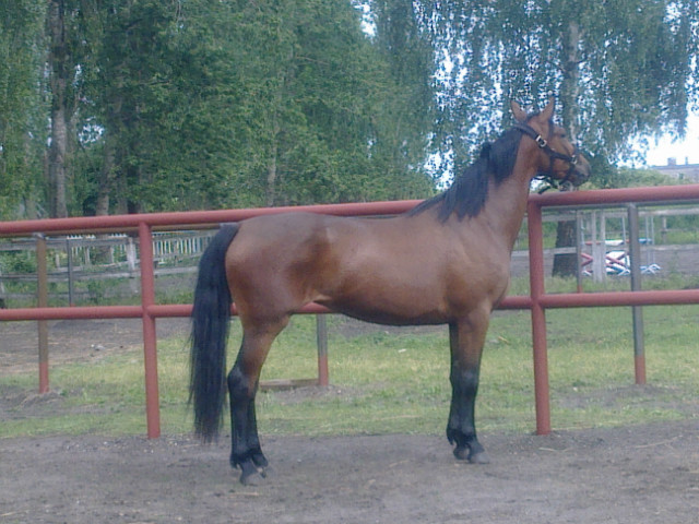Fatima