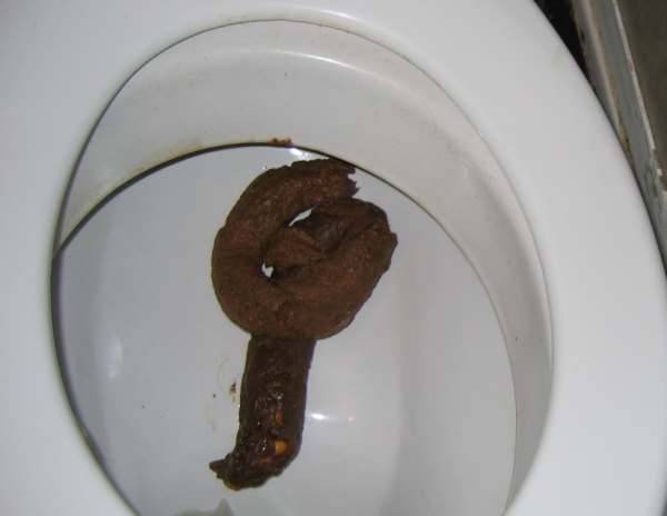 wietny poranek