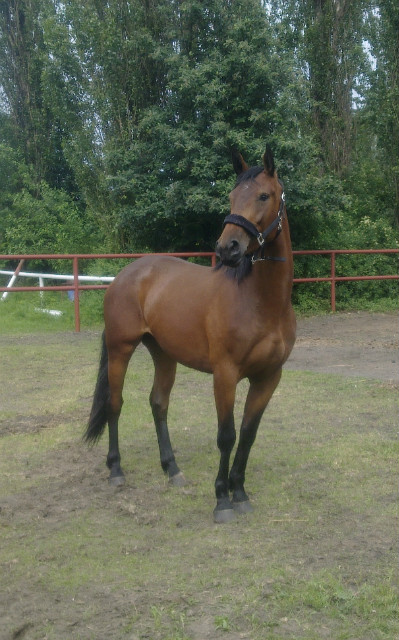 Fatima