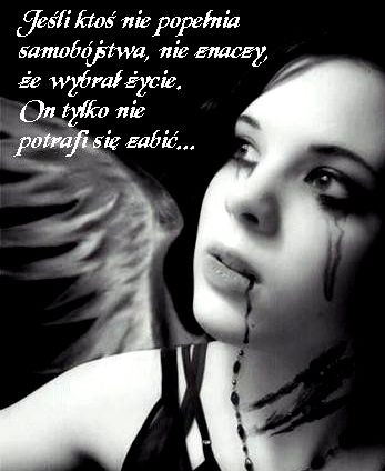 Wpis mitulek