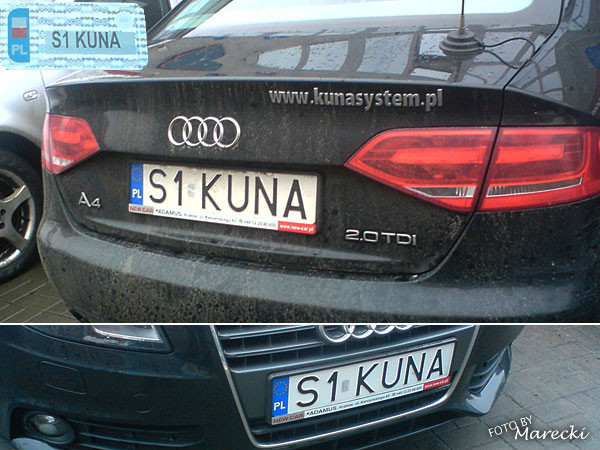 kuna 