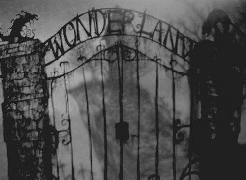 wonderland*,*