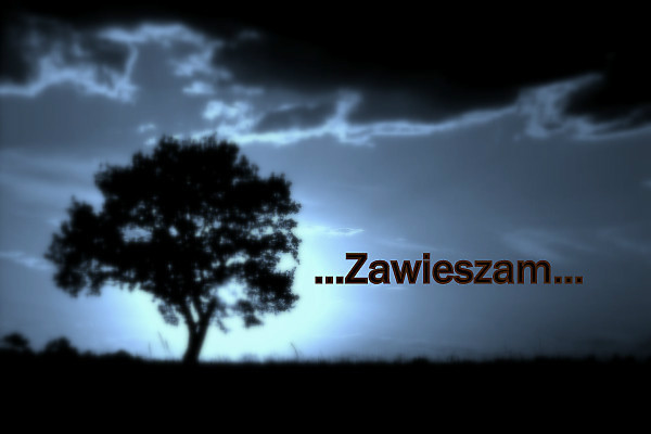 Zawieszam .