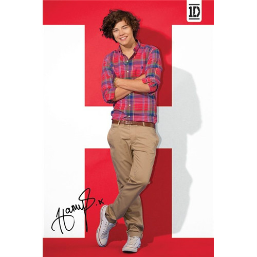 Harry Styles 