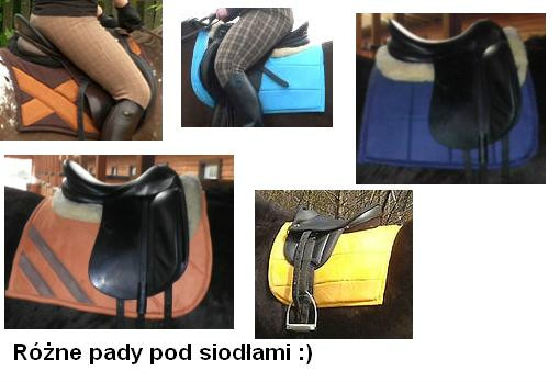 pady pod siodami