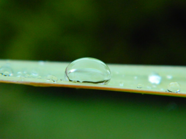 drops:*