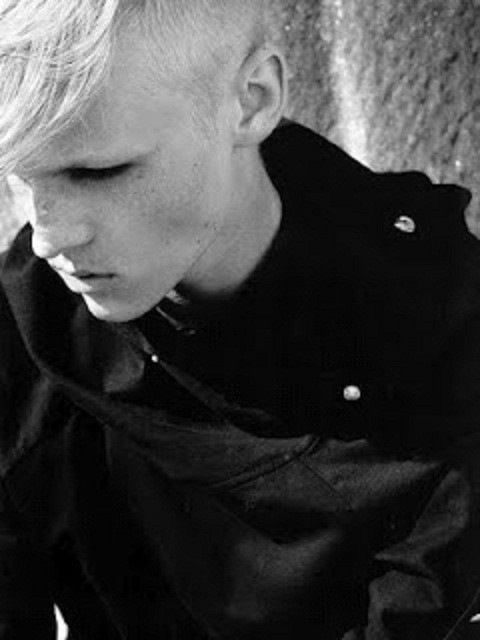Wpis hanssonmodel