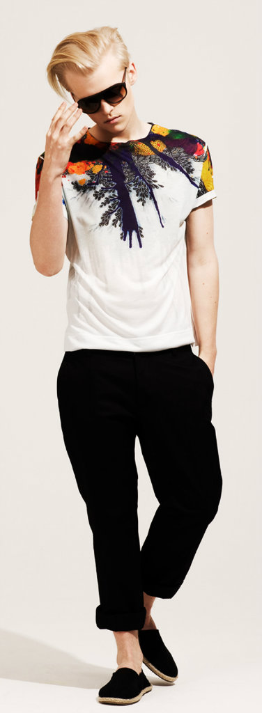 Wpis hanssonmodel