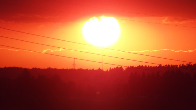 sun.