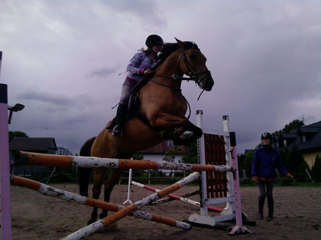 Wpis miedwianscy