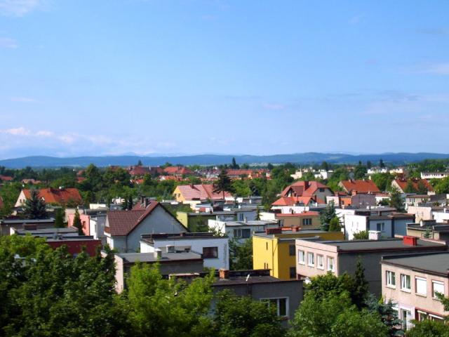 Wpis morpheo