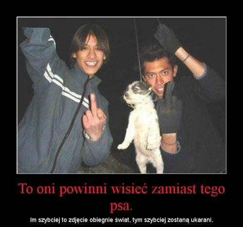 Wpis buziaczek1996