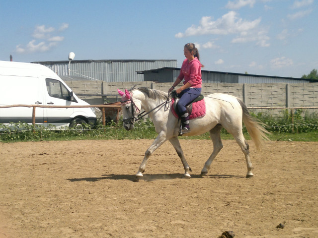 Wpis bayfilly