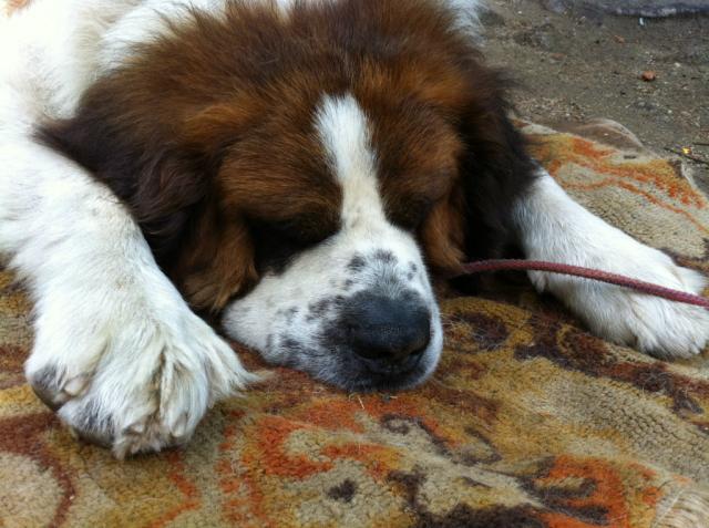 Max:**