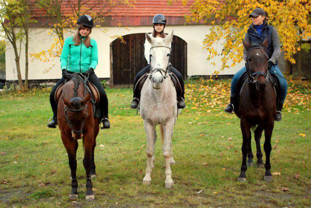 stare dobre czasy, ah