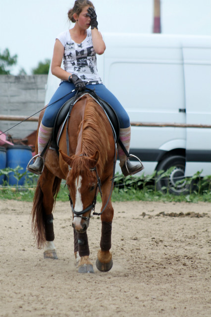 Wpis bayfilly