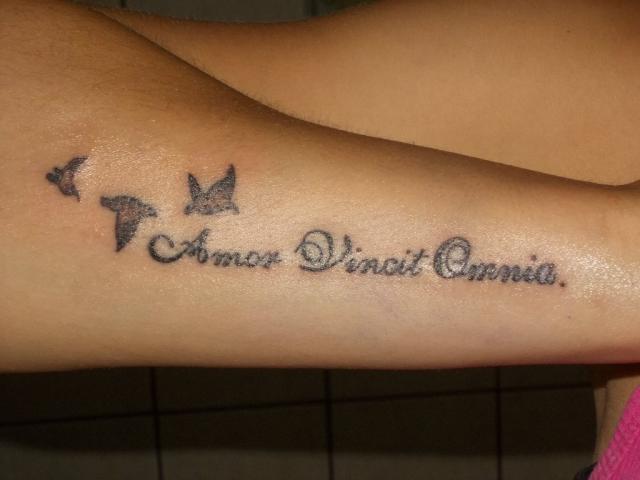 Wpis sinvida